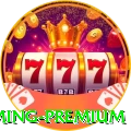 017brl Gaming Premium